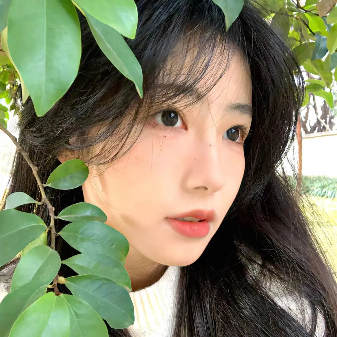 江湖梦粤语